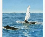 Whales